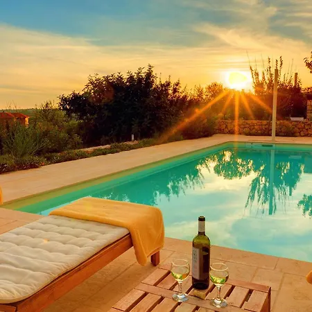 Corali Ideales Willa